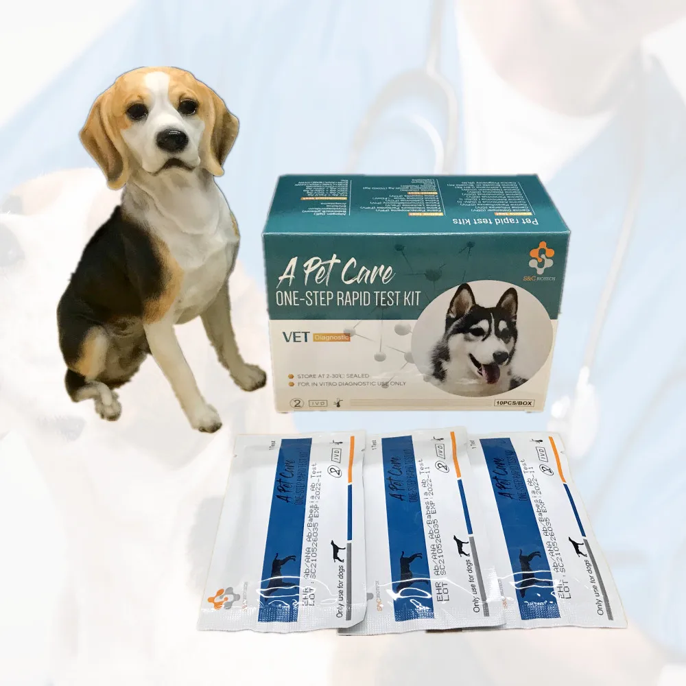 BCL Brucella Ab brucellosis pet 8 medical hospital supplies DOG/CAT disease test