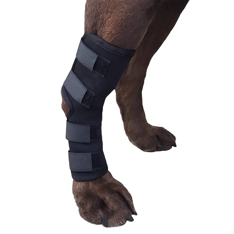 Hot Selling Recovery Protector Sleeve Dog Knee Brace Neoprene Leg for