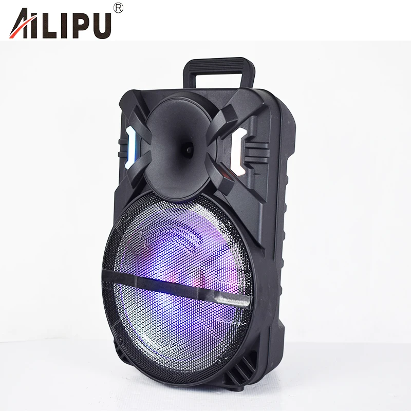 Top Quality 12 Inch Private Mode 20W Rechargeable Trolley Speaker Music Player for Stage