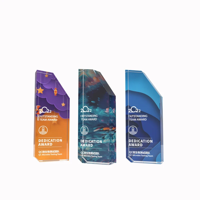Custom Colored Crystal Glass Trophy Team Honor Souvenir Gift full color printing optical 3d photo frame award crystal trophy