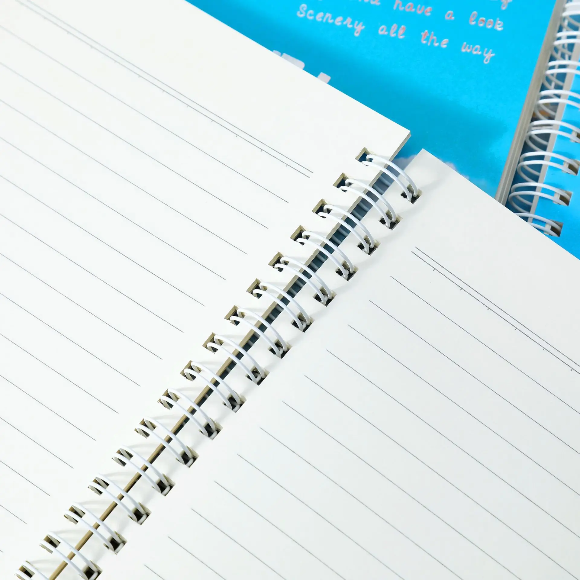 Simplified B5 thick coil artistic and fresh horizontal line stationery college student notebook homework book