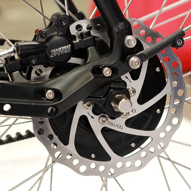 250w Bafang mid motor electric cargo bike tricycle/3 wheel electric bike cargo for family