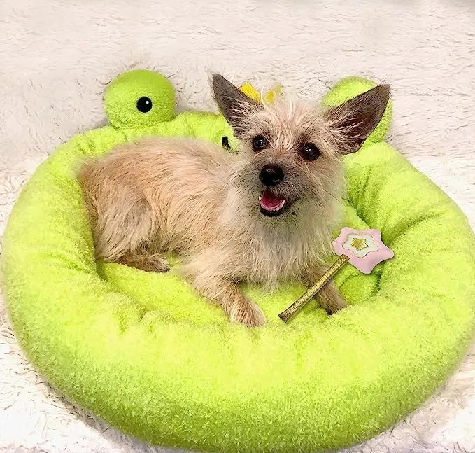 FMT 2023 New LuxuryHigh Quality Dog Sofa Bed with Dog Bed Luxury Cover Dog Cushion Pet Bed