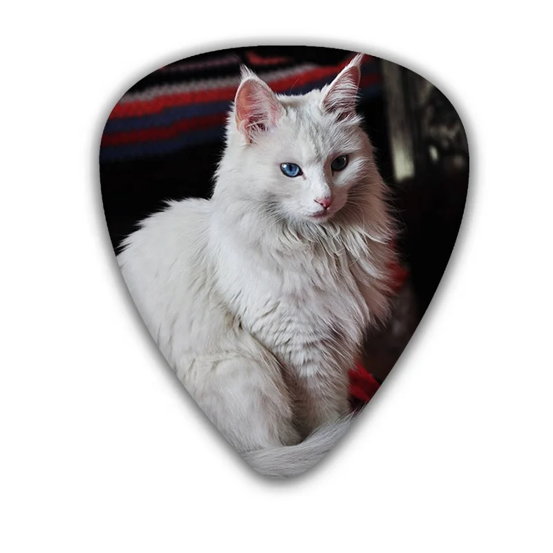 special design  0.71mm cute cat series acoustic Guitar Picks 6 designs for you chose