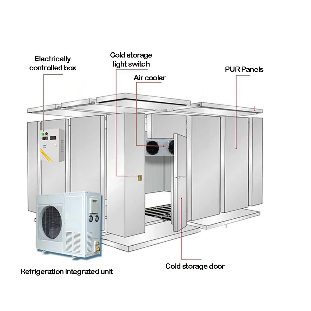 Walk In Freezer Storage Fast Refrigeration High-Efficiency Quick Freezing Cold Room For Vegetable