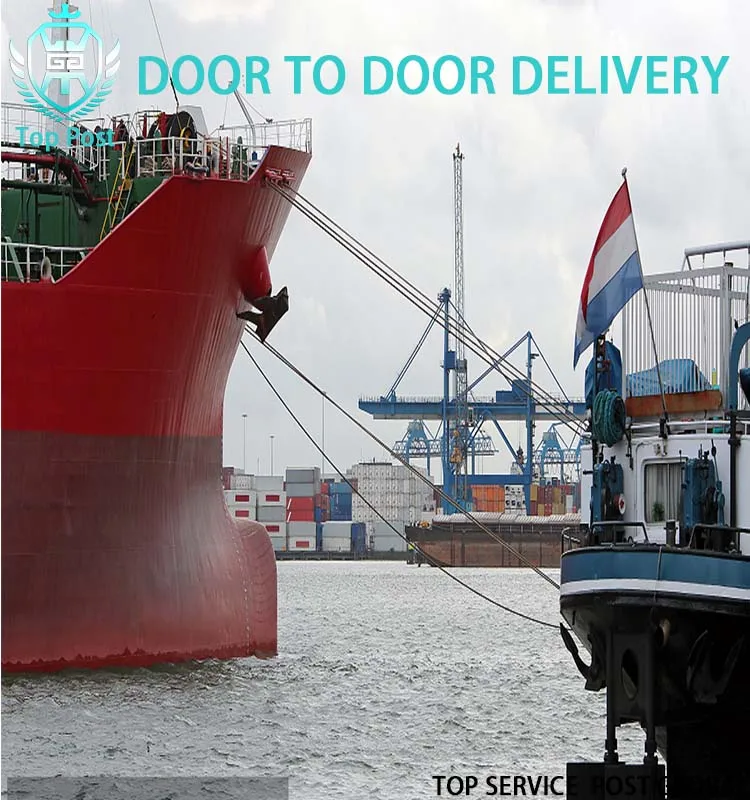 shipping companies international forwarder sea fright forwarder china to saudi arabia