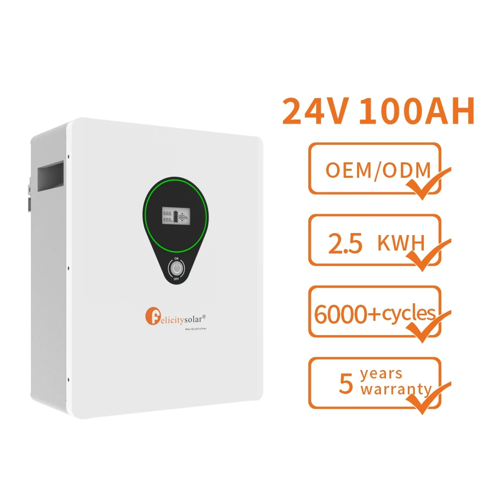 felicity solar 24v 2.5kwh 100ah wall mounted household home energy storage battery system Lithium battery