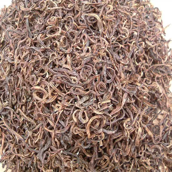 Wholesale hot sell high protein nourishing dried earthworms for animal food feed pet food