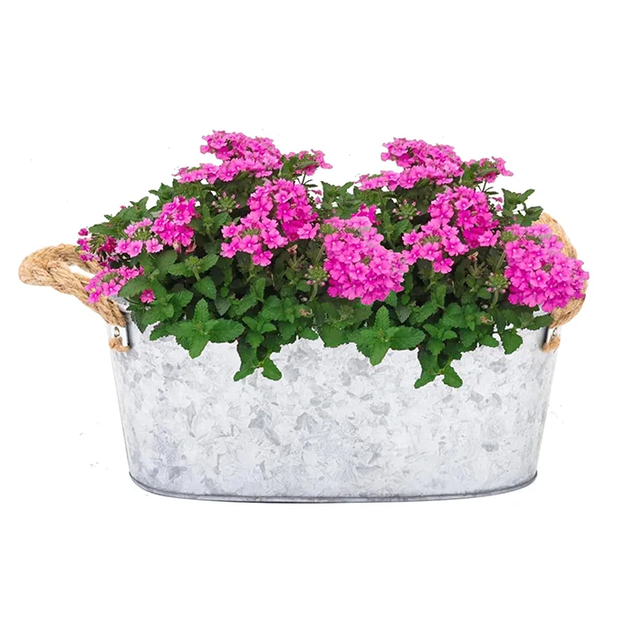Galvanized Planter Vintage Metal Planter With Rope Handles and Drainage Hole Oval Shaped Metal Flower Pots