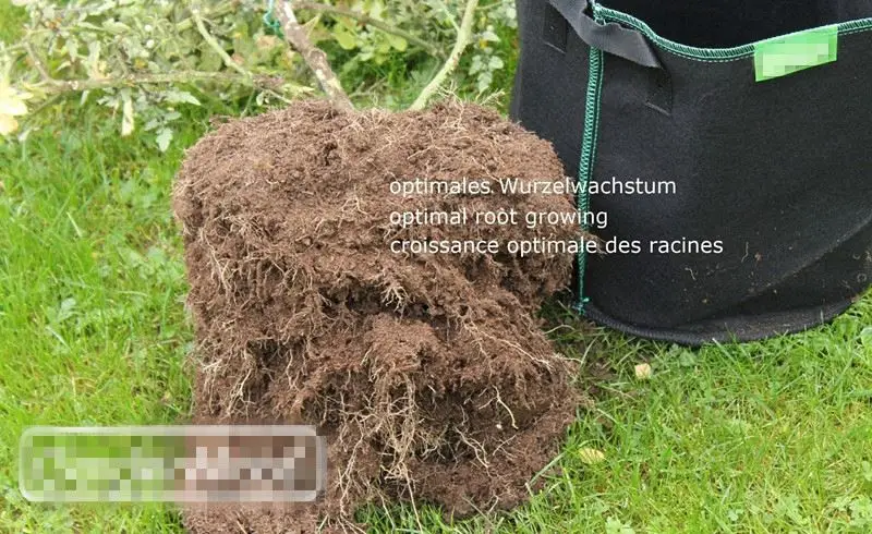 1 / 2 / 3 / 5 / 10 / 20 / 30 / 40 / 50 / 100 / 200/300gallon high quality long time grow bags