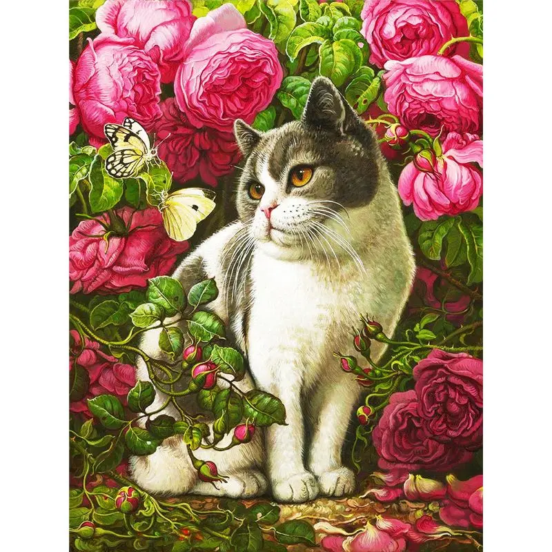 Oil Painting Flowers Animal Drawing On Canvas HandPainted Art DIY Paint Coloring By Number Cat Kits Home Decoration Gi