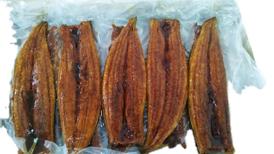 Sushi or Japanese Cuisines Eel Kabayaki Roasted Unagi Frozen Roasted Eel
