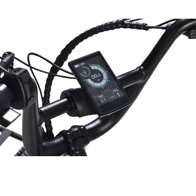 OEM New Arrival OEM customized double battery Cargo E Bike Fat Tire Long Tail Cargo Bike Electric