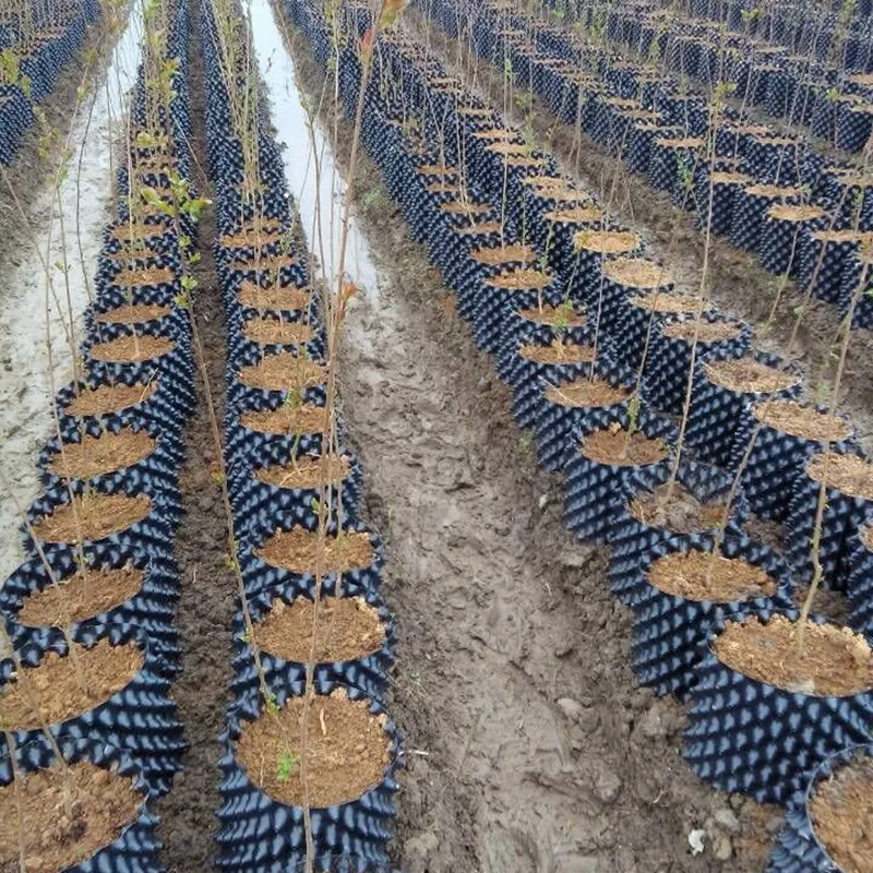 Factory Price Container Air Pruning Pot for Plants Root Grow Plant Pots Root 5 7 10 15 Gallon