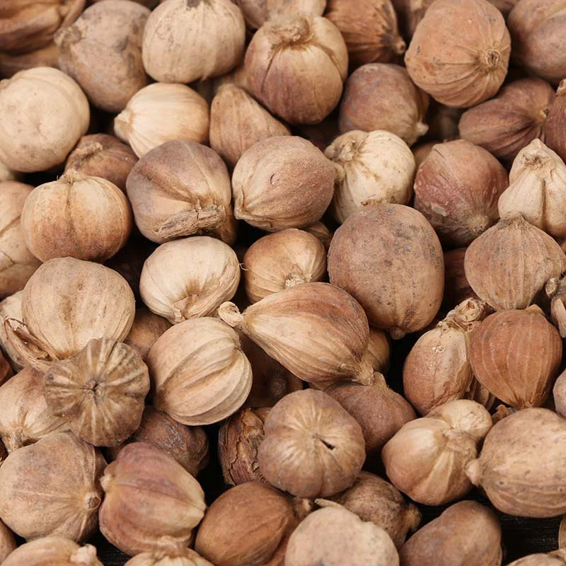 Organic Wholesale Dried White Cardamom Powder Nutmeg Herb for Cooking  100% Natural Seasoning Fresh Cardamom Seed