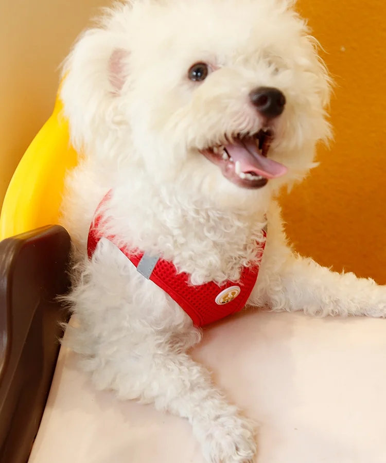 Custom Logo Dog Harness Nylon Recycled Breakaway Curved Plastic Colored Quick Side Release Buckle Dog Harness