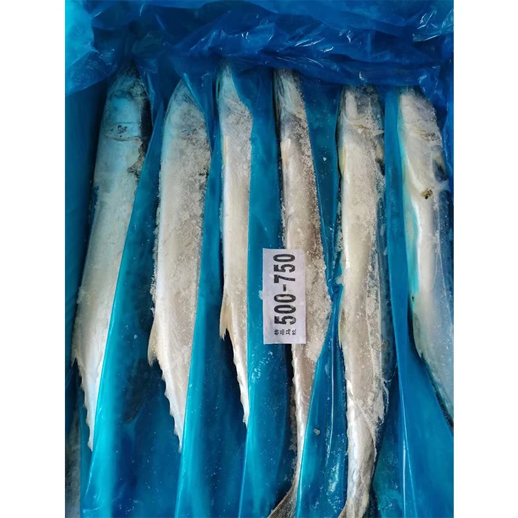 Горячая Распродажа, хорошая цена, морепродукты, все товары для скумбрии в Китае, дешевая замороженная рыба, испанская скумбрия, оптовая продажа