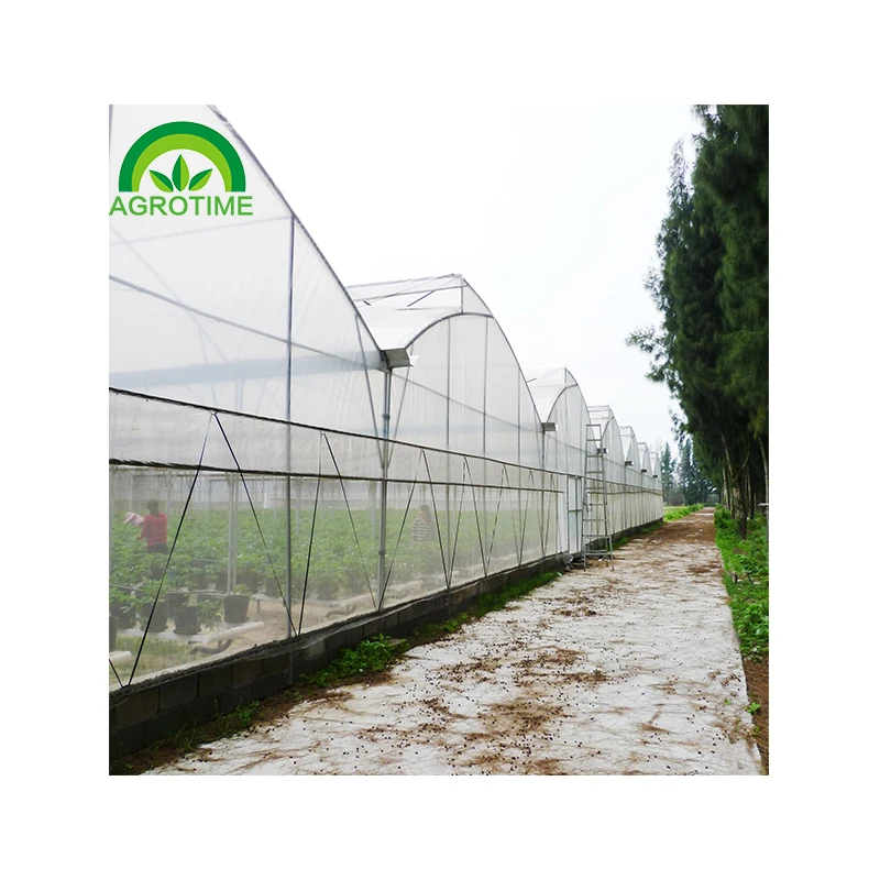 Low cost tropical greenhouse with top vent US strawberry green house multi-span poly tunnel greenhouses large area