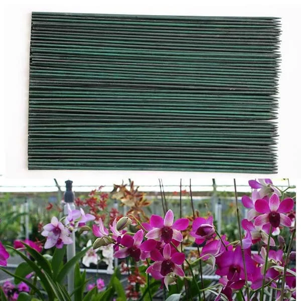 Top-rated bamboo plant support flowers bamboo sticks
