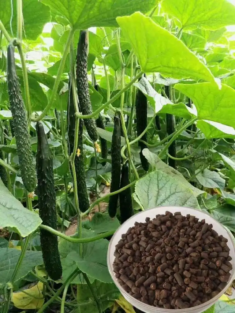 Manufacturers wholesale fruits vegetables with organic fertilizer particles fermentation of microbial fertilizer