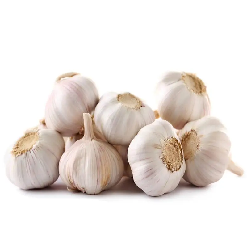 New Crop Chinese Fresh Natural Normal  White Garlic Wholesale