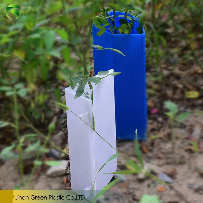 4mm pp corrugated hollow sheet corflute plastic board for Tree guard and Floor protection