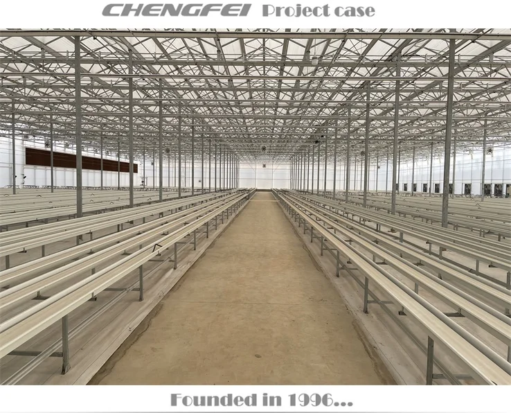 Customizable size Agricultural Low Cost Plastic Film Covered Sawtooth Greenhouse