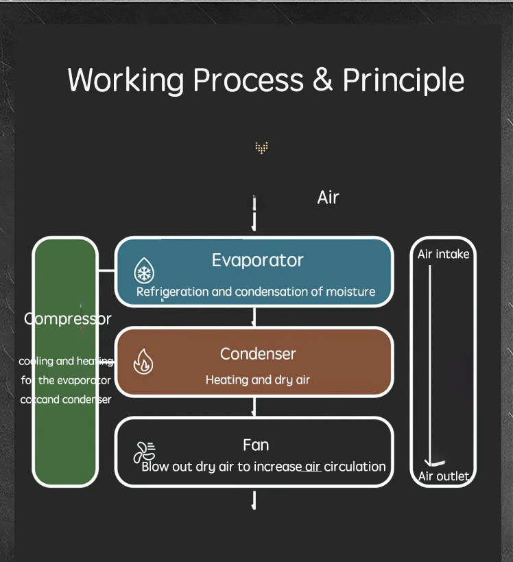 168L 240L/D  High Efficiency Commercial Dehumidifier Swimming Pool Dehumidifier For Planting Basement