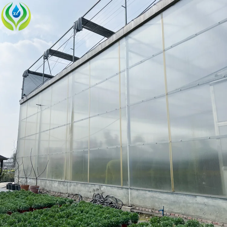 MYXL green house  uv plastic polycarbonate sheet panel greenhouse structure