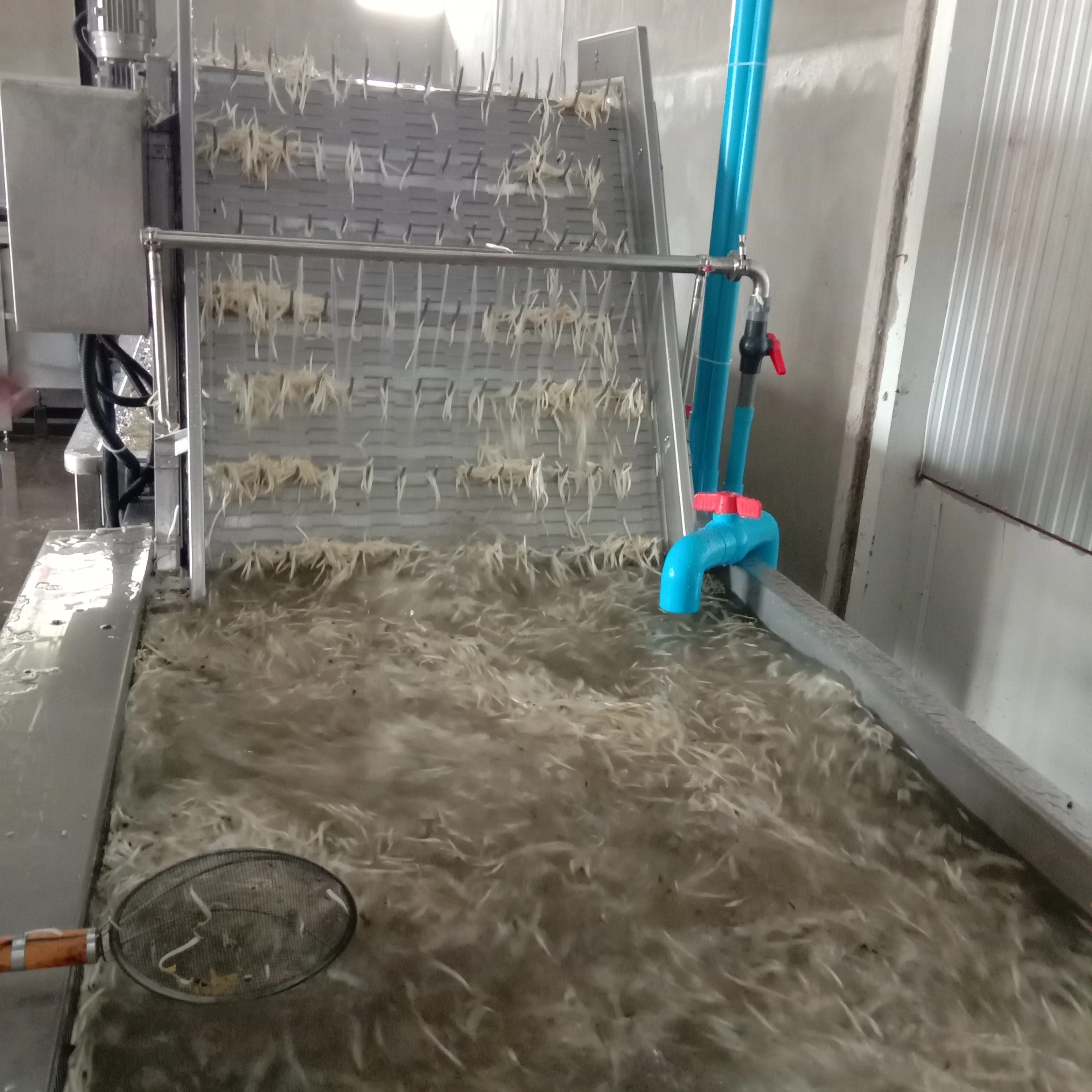 mungbean sprouts washing machine bean sprout cleaning machine bean sprout shelling machine