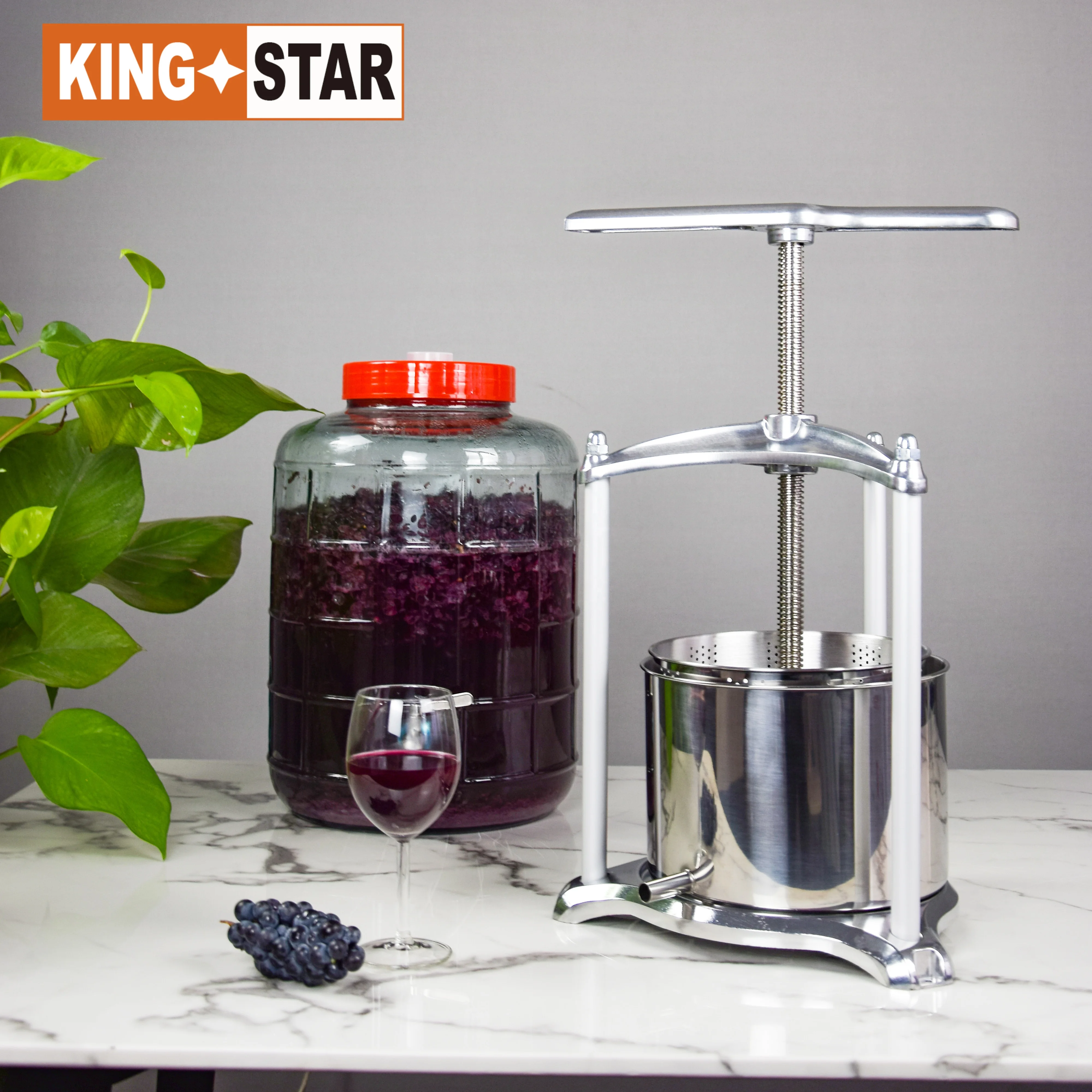 Industrial Cold Fruit Press Machine for Farm & Home Use Environmentally Wine Making Juicer