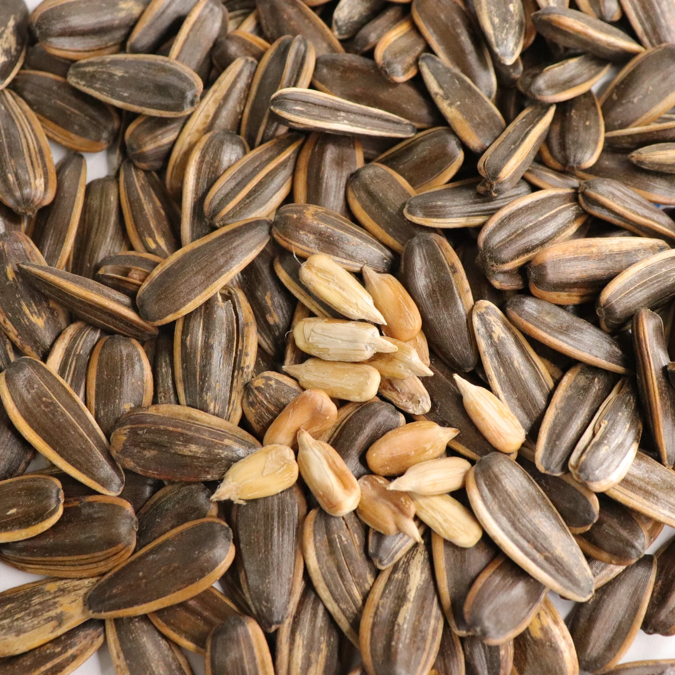 Different Flavor Sunflower Seeds Roasted And Salted Sunflower Seeds