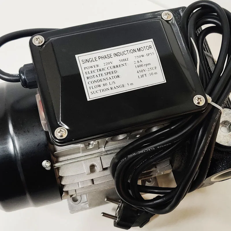 Heavy Duty Portable 80LPM AC110V/220V Large Flow Self Priming Electric Diesel Fuel Transfer Pump