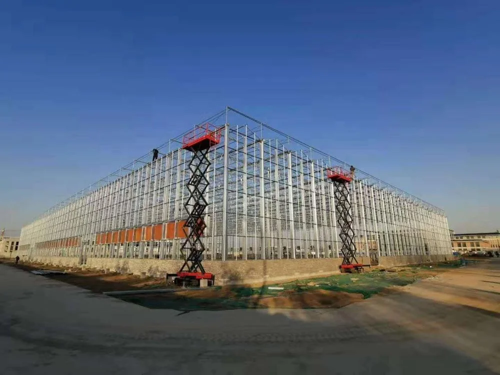 Wholesale  Farming  Intelligent Tomato Hydroponic Soilless Growing Greenhouse/Steel Structure Multi-Span Glass Greenhouse