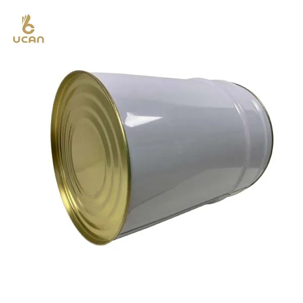20L Metal Bucket with Flange 25 Liter Paint Drum with Metal Screw Cap Tinplate Paint Pail for Thinner