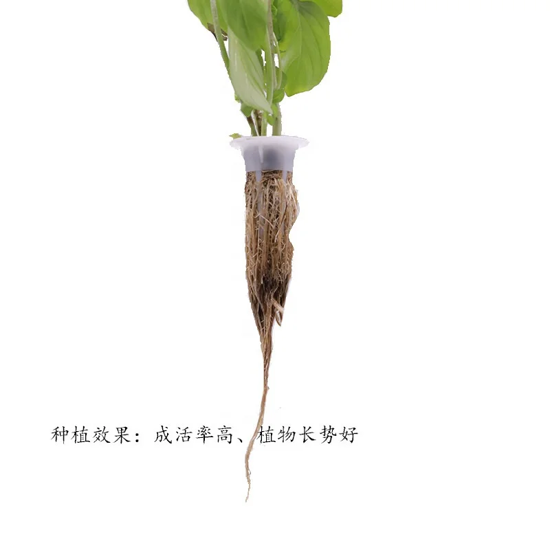 50/bag Seed Starting Plugs Soilless Culture Seedling Block Sponge Biochar Planting Base