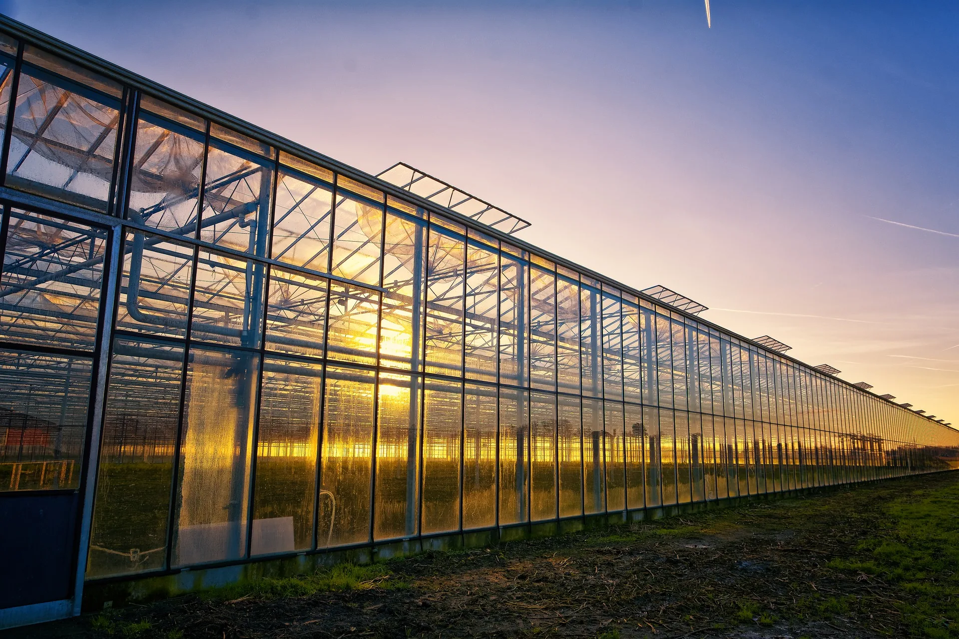 Modern Outdoor Waterproof Pergola for Farming and Plant Growth Green House Agricultural Glass Greenhouse