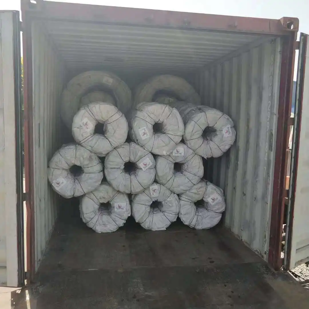 Razor Barbed Wire /Concertina Razor Wire for Security Wire Fence/Galvanized Wire Fencing