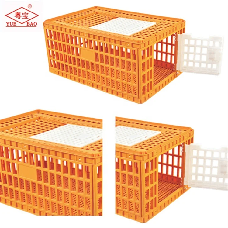 Poultry farm turkey transport crates plastic chicken transport box cages for laying eggs