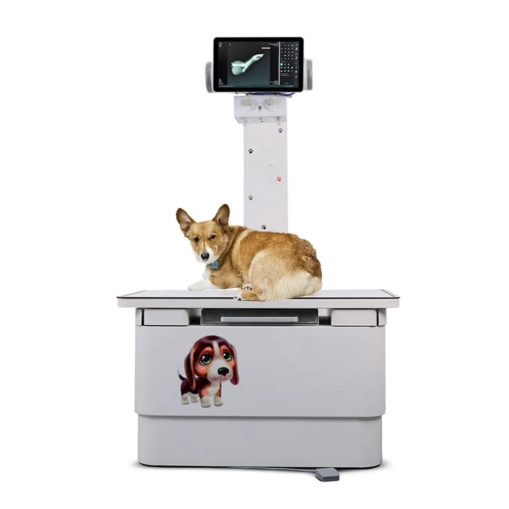 Portable X-ray Machine 5kw Veterinary Ray X 4KW High Frequency