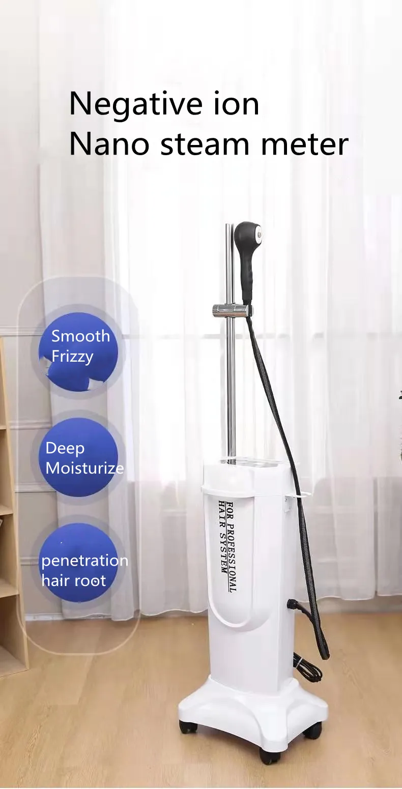 RTS Wholesale Top Quality Hair Salon Blue Light Nano Micro Spray Hair Steamer