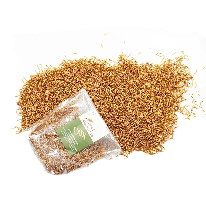 China bulk mealworm top grade cat dog fish bird food grow faster dried mealworm for hot sale