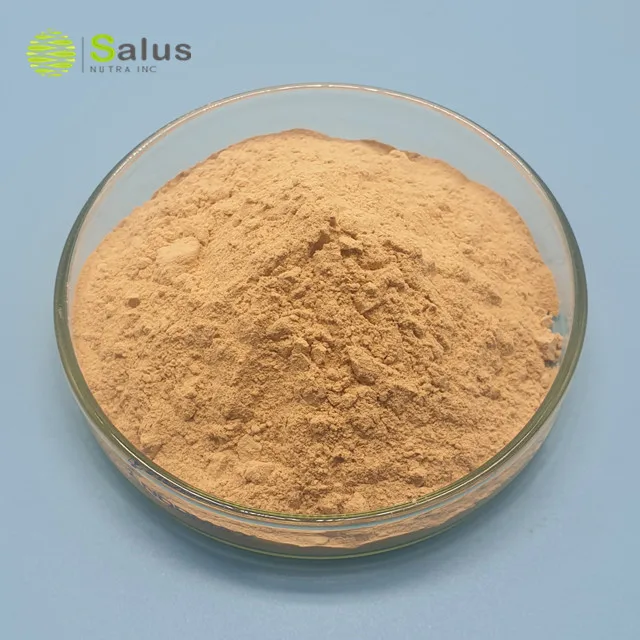 Factory Wholesale Additives Probiotics Powder Bacillus Coagulans
