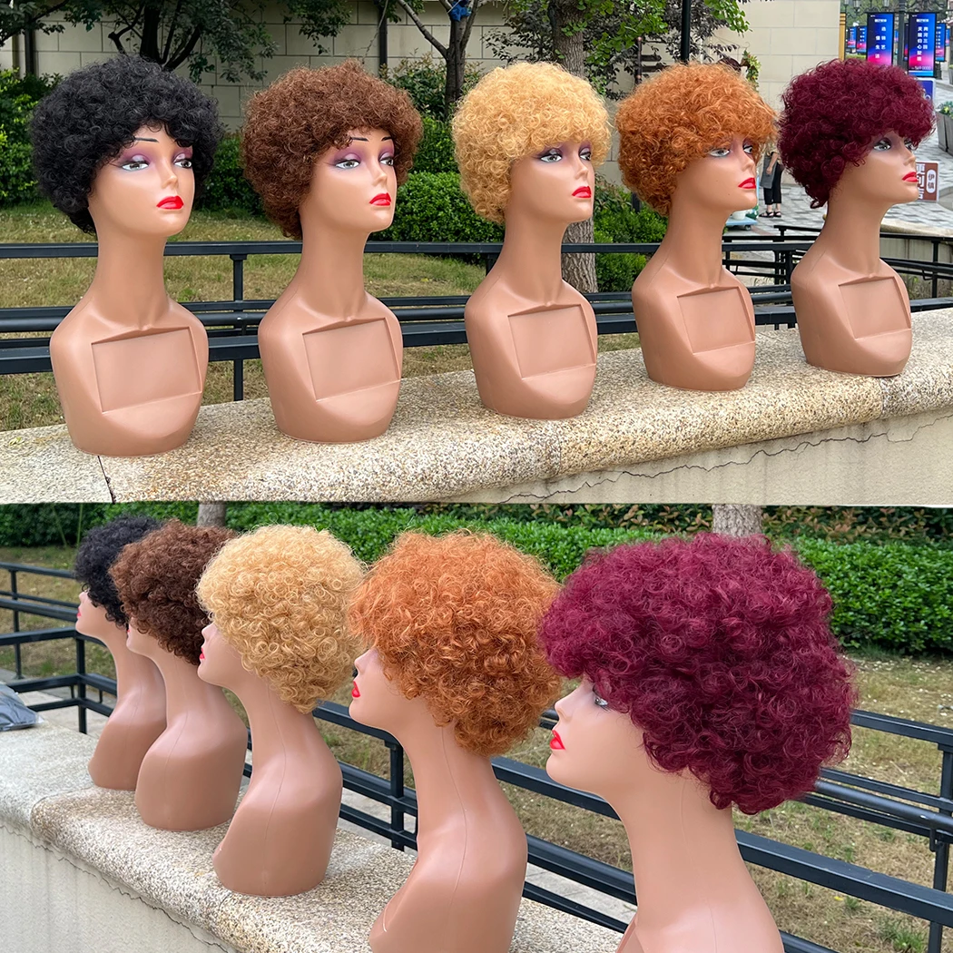 Cheap Wigs Short Length Natural Human Hair Different Colors No Lace Raw Indian Hair Wigs