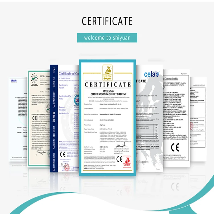 Hot Selling 3Inch 4Inch 96V 2200W 3Hp Impeller Dc Solar Water Brushless Type Pump On Sale