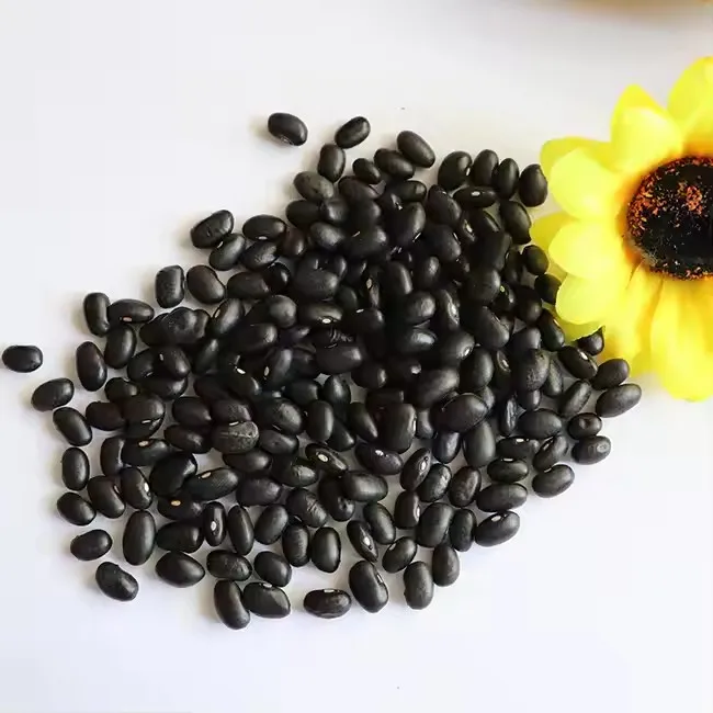 Китай органические черные бобы сушеные Non Gmo фасоли темно-синие