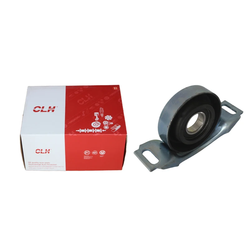 Auto Chassis Parts Drive Shaft Support Center Bearing 2024100381 2024100381s 2024100581 2024100581s For Mercedes