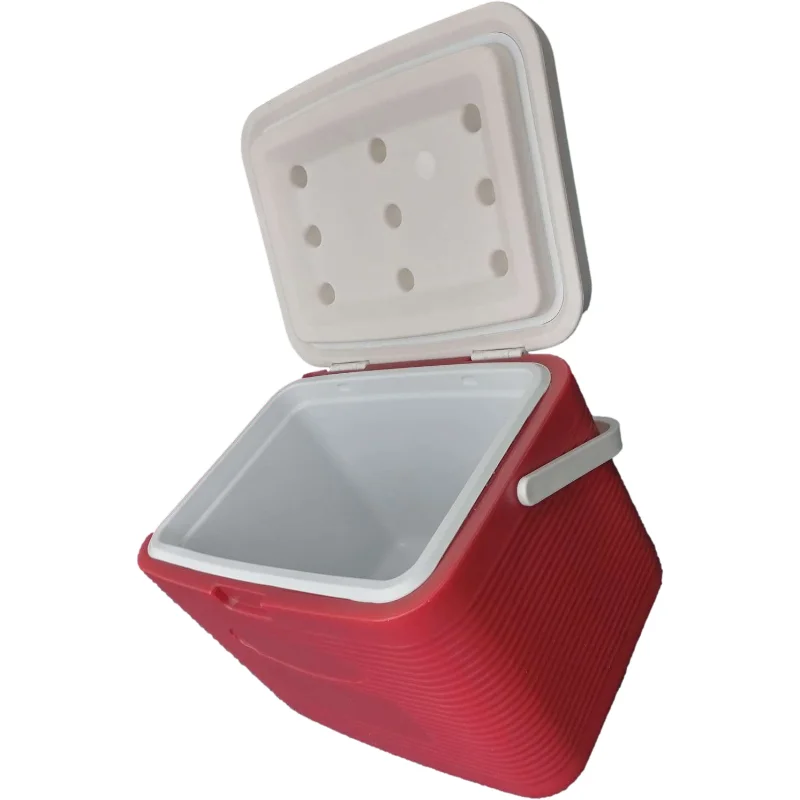 Factory Wholesale Delivery Insulated Picnic Cooler Box