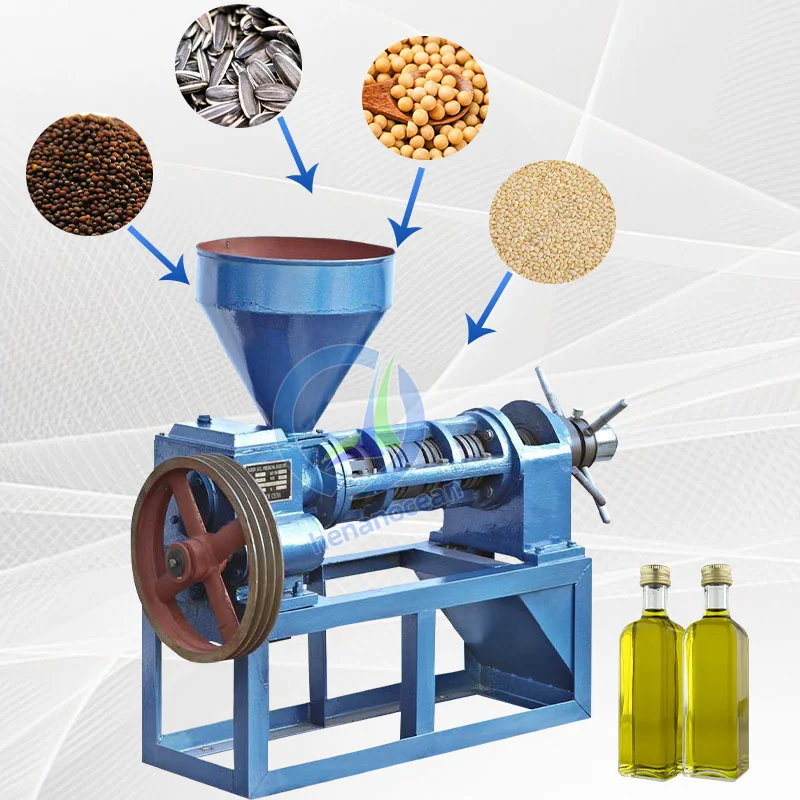Semi Industrial Small Coconut Avocado Cold Press Mustard Sea Buckthorn Oil Extraction Machine