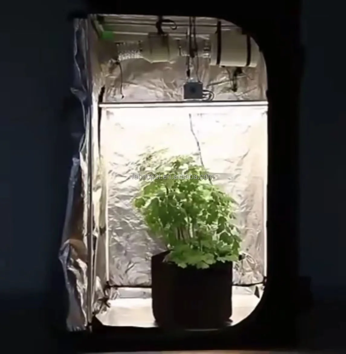 80x80x160 cm Mini Indoor Plant Growth Full Grow Tent Complete Kit Waterproof Metal Frame Grow Box